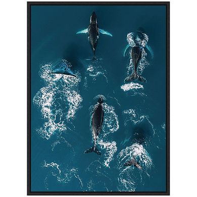 Sylvie School of Humpback Whales in the Blue Ocean Framed Canvas by Michael Schauer