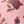 Pinkdress Redrose