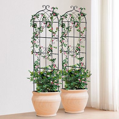 Outdoor Garden Trellis with Powder-Coated Metal Frame for Climbing Plants