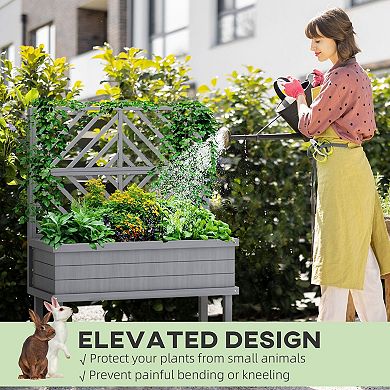 Elevated Trellis Planter Box for Climbing Plants, Flowers and Vegetables