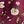 Maroon Nice Flowers