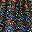 Navy Pretty Floral
