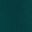 Brazilian Teal