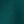 Brazilian Teal