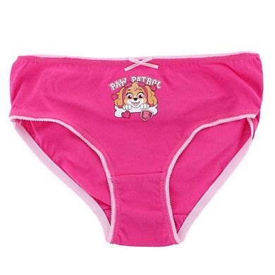 Textiel Trade Girl's Skye Paw Patrol Assorted Briefs (4-Pack)