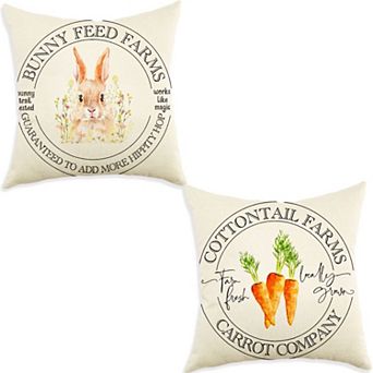2 pc 18x18" Easter Carrot Bunny Pillow Cover Decorative Cushion Case