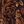 Brown Red Paisley