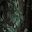 Green Painted Floral