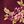 Berry Open Tapestry