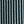 Green Dream Stripe
