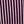 Orchid Dream Stripe