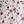 Ivory Pink Jolly Star