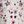 Ivory Pink Jolly Star