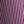 Orchid Dream Stripe