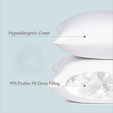 2 Pack Down Feather Pillow Inserts for Couch, Chair, or Bed
