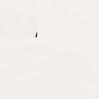 Organic Cotton Essential Long Sleeve