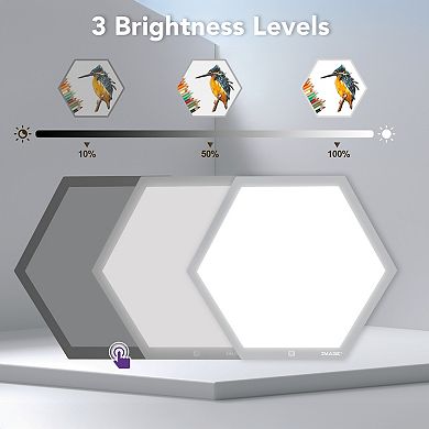 Hexagon LED Light Box for Tracing