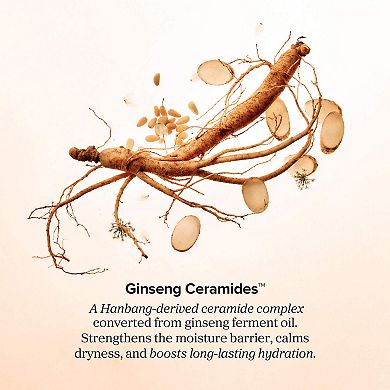 Revive Retinol Firming Moisturizer for Plumping & Firming