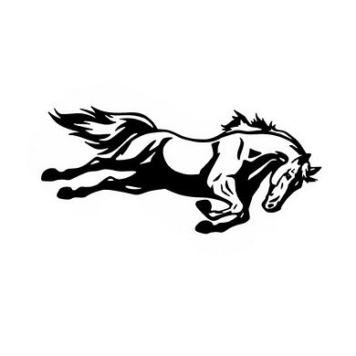 ANIXOL Reflective Car Window Sticker