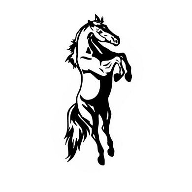 ANIXOL Reflective Car Window Sticker