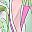 Green Pink