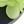 Black Green