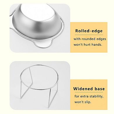 Elevated Stainless Steel Cat Bowl with 15 Degree Tilt and Stable Stand