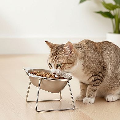 Elevated Stainless Steel Cat Bowl with 15 Degree Tilt and Stable Stand
