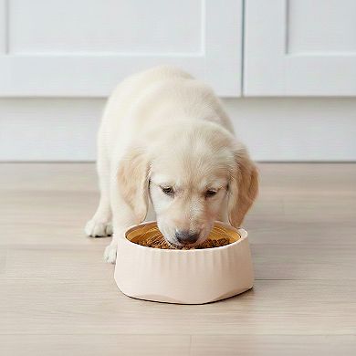 Pet Slow Feeder Bowl with Removable Insert, Non-Slip Base, Convertible Design