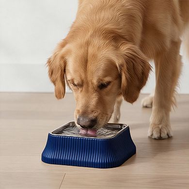 Stainless Steel Dog Bowl with Non-Slip Base and Removable Inner Bowl