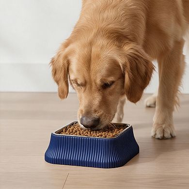 Stainless Steel Dog Bowl with Non-Slip Base and Removable Inner Bowl