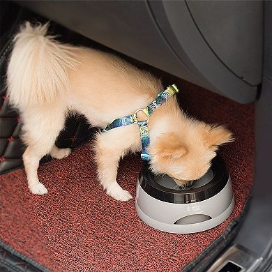 Non Spill Dog Water Bowl with Floating Disk 25 oz Car Travel Pet Water Bowl