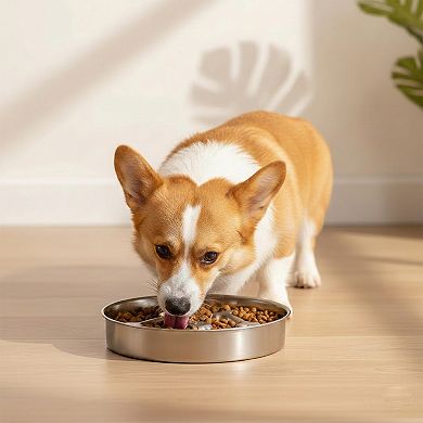 Stainless Steel Dog Slow Feeder Bowl with Raised Design