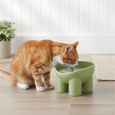 Elevated Tilted Cat Food Bowl with Raised Base for Comfortable Feeding