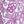 Violet Multi