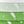 Gradient Grass Green
