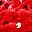 Red Sequins