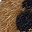Black Brown