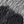 Black Grey