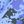 Ocen Blue