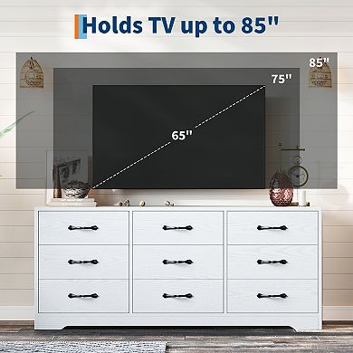 Modern TV Stand with Mount
