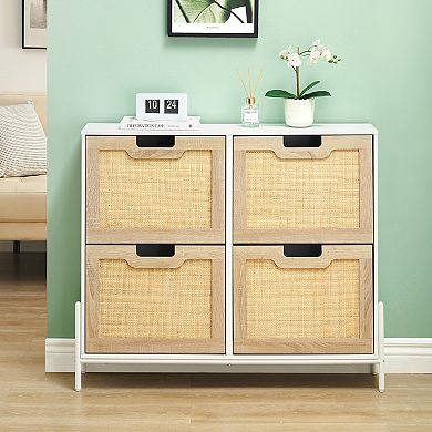 Entryway Narrow Shoe Organizer Cabinet
