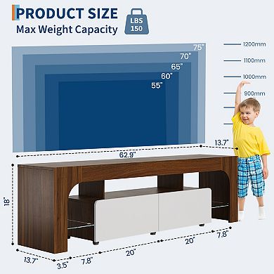 LED TV Stand for 55 to 75 Inch TV