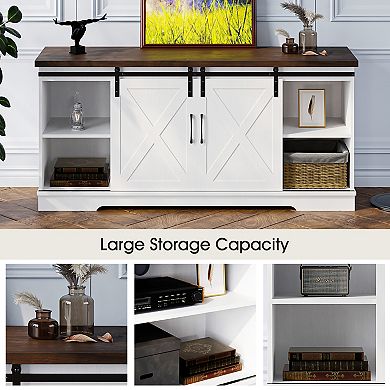 TV Console with Barn Doors