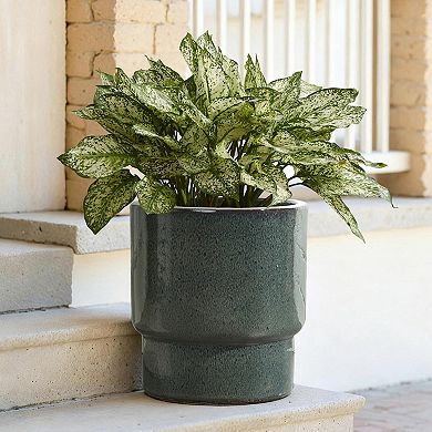 LuxenHome 12" Dia Deep Green Round Ceramic Planter Pot, Indoor Outdoor Pot for Plants with Drainage