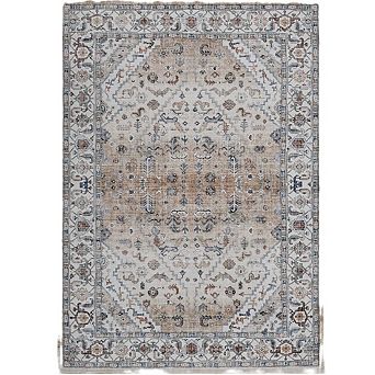 Area Rugs for Living Room Washable Area Rug Non Slip Indoor Rug Low Pile Soft Vintage Rug