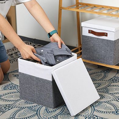 Foldable Fabric Storage Bins with Lids 2-Pack Multi-Purpose Organizer