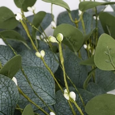 20" Eucalyptus Wreath Spring Summer Berries Wedding Mother Festival