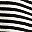 Black White Stripe
