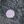 Grey Purple Dot